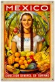 Vintage-Retro Mexico Tin-Metal Sign LARGE