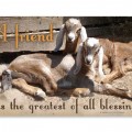 Vintage Friend is a Blessing Tin Sign 14 x 8 Inches