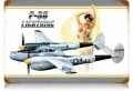 Vintage-Retro P-38 Nude Metal-Tin Sign