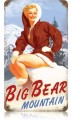 Vintage-Retro Big Bear Metal-Tin Sign