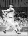 Vintage Ted Williams - Baseball Tin Sign
