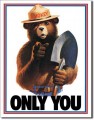 Retro Smokey Bear - Only You Tin Sign
