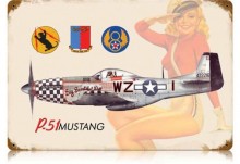 Vintage-Retro P-51 Salute Metal-Tin Sign
