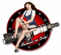 Vintage-Retro Spark Plug Custom Shape Metal-Tin Sign