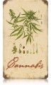 Vintage-Retro Cannabis Metal-Tin Sign
