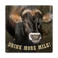 Retro Drink More Milk Metal Sign  12 x 12 Inches