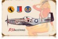 Vintage-Retro P-51 Salute Metal-Tin Sign