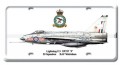 Vintage-Retro Lightning F.3 License Plate