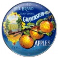 Vintage-Retro Hill Apples Wall Clock