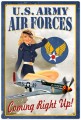 Vintage-Retro Air Force Pinup Metal-Tin Sign