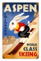 Vintage-Retro Ski Aspen Metal-Tin Sign