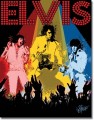 Retro Petruccio- Elvis Vegas Metal Sign