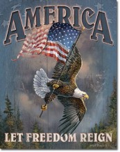 America - Let Freedom Reign Metal Sign