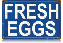 Vintage-Retro Fresh Eggs Metal-Tin Sign 1