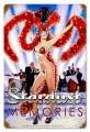 Vintage-Retro Stardust Memories Metal-Tin Sign