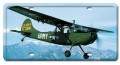 Vintage-Retro L19 Bird Dog License Plate