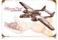 Vintage-Retro Black Widow Metal-Tin Sign