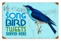 Vintage-Retro Bird Tweets Tin-Metal Sign
