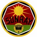 Vintage  Sun Ray Gasoline Tin Sign 2