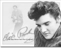 Retro Elvis - Sun Never Sets Tin Sign