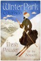 Vintage-Retro Ski Winter Park Metal-Tin Sign LARGE