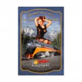 Vintage Daylight Train Metal Sign 24 x 36 Inches Inches