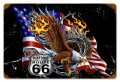 Vintage-Retro Eagle Flag 66 Metal-Tin Sign