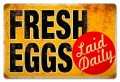 Vintage-Retro Eggs Laid Daily Metal-Tin Sign
