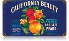 Vintage-Retro California Beauty Metal-Tin Sign