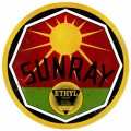 Vintage  Sun Ray Gasoline Tin Sign 1