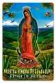 Vintage-Retro Guadalupe Metal-Tin Sign