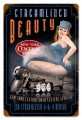 Vintage-Retro Streamlined Beauty Metal-Tin Sign