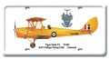 Vintage-Retro Tiger Moth T2 License Plate