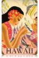 Vintage-Retro Hawaii Metal-Tin Sign