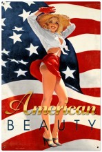Vintage-Retro American Beauty Metal-Tin Sign LARGE