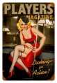 Vintage-Retro Player Pinup Metal-Tin Sign