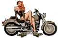 Vintage-Retro Motorcycle Girl Custom Shape Metal-Tin Sign